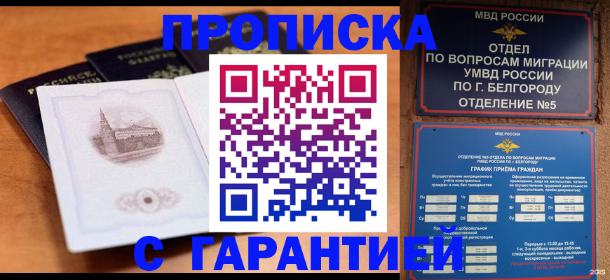 временная регистрация гарантия в Тольятти